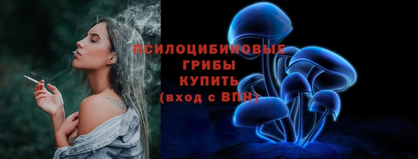 spice Алзамай