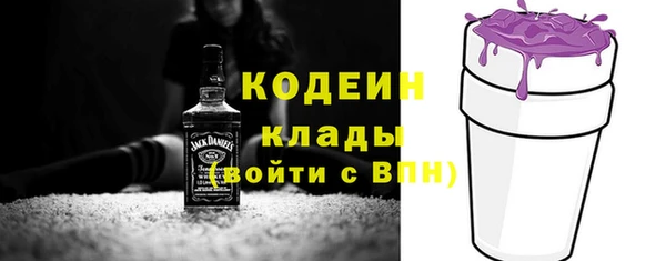 2c-b Новозыбков
