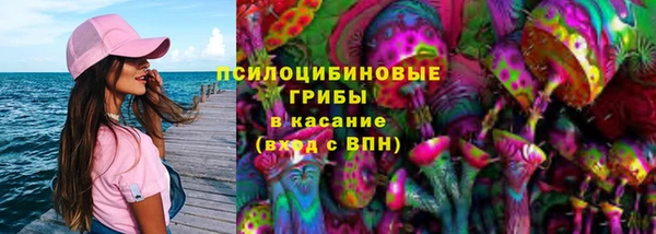 spice Алзамай