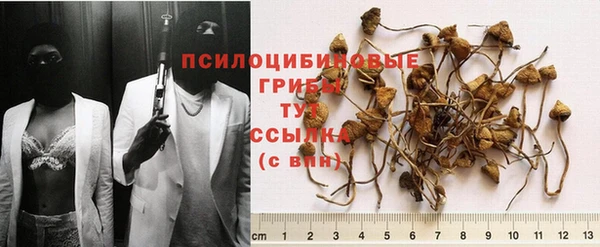 шишки Алексеевка