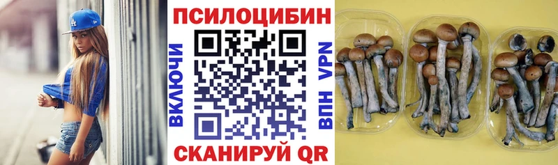 blacksprut ТОР  Невьянск  Галлюциногенные грибы прущие грибы 